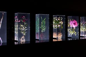 Azuma Makoto, _Block Flowers_. Exhibition view: NGV Triennial 2023, NGV International, Melbourne (3 December 2023–7 April 2024). Courtesy NGV International. Photo: Sean Fennessy.
